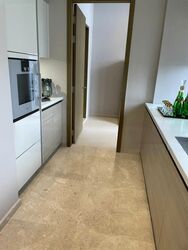 V On Shenton (D1), Apartment #477805751